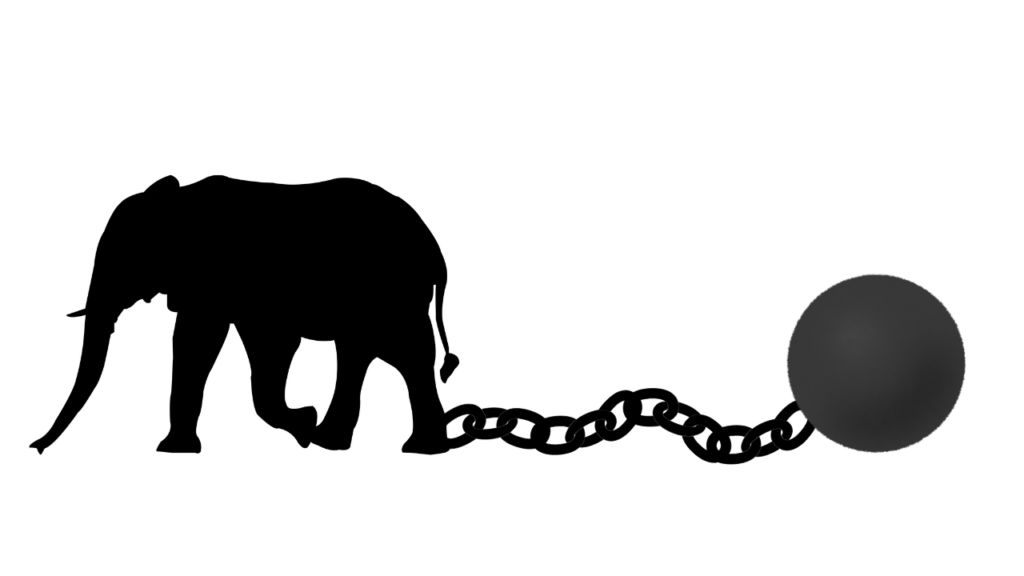 学習性無力感の例として説明される鎖につながれたゾウの比喩